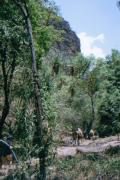 Auf den Weg zur Twin Falls Gorge