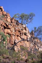 Die obere Manning Schlucht