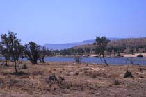 Pentecost River
