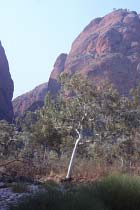 Auf dem Weg zur Mini Palms Gorge