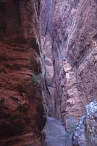 Mini Palms Gorge