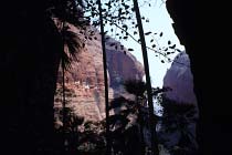 Mini Palms Gorge