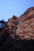 Mini Palms Gorge