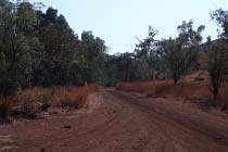 Der Spring Creek Track