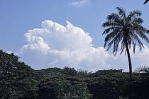 Die Regenzeit k�ndigt sich an
