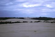 Sandd&uuml;nen der Little Sahara