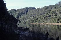 King River