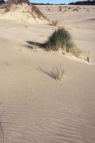 Henty Dunes