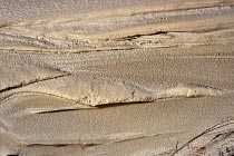 Henty Dunes