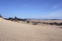 Henty Dunes