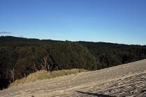 Henty Dunes