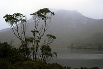 Cradle Mountain in den Regenwolken