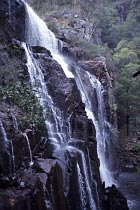 Mc Kenzie Falls