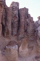 Petrified Forest
