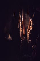Princess Margaret Rose Cave