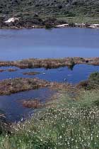Salzsee im Inland