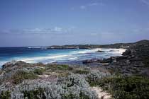 Salmon Bay