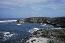 Wilson Bay