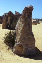 Pinnacles