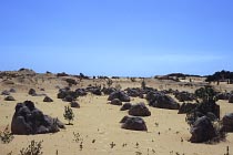 Pinnacles