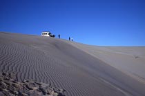 Sandd�nen
