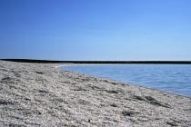 Shell Beach