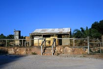 Old Homestead