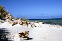 Am Strand