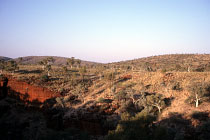 Oxers Lookout