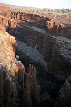 Oxers Lookout