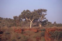 Oxers Lookout