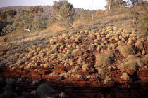 Oxers Lookout