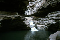 Kermit's Pool
