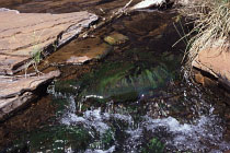 Hancock Gorge