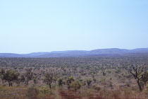 Landschaft