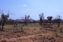 Landschaft