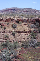 Dales Gorge