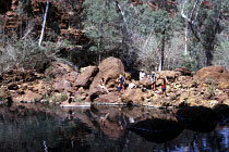 Circular Pool