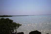 An der Roebuck Bay