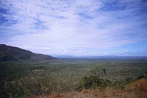 Bobs Lookout