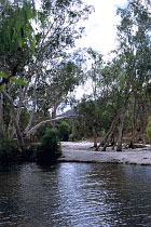 Coen River