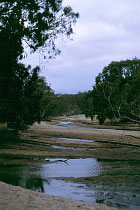 Archer River