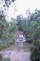 Scrubby Creek