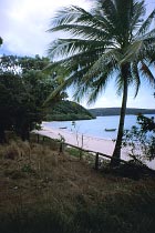 Somerset