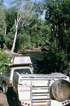 Cockatoo Creek