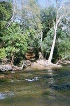 Cockatoo Creek