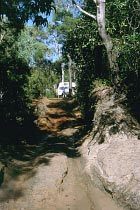 Cockatoo Creek