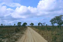 Heathlands Reserve