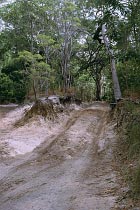 Furt am Bertie Creek