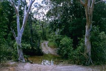 Brown Creek Crossing